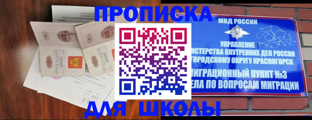 прописка поиск в Новосибирской области
